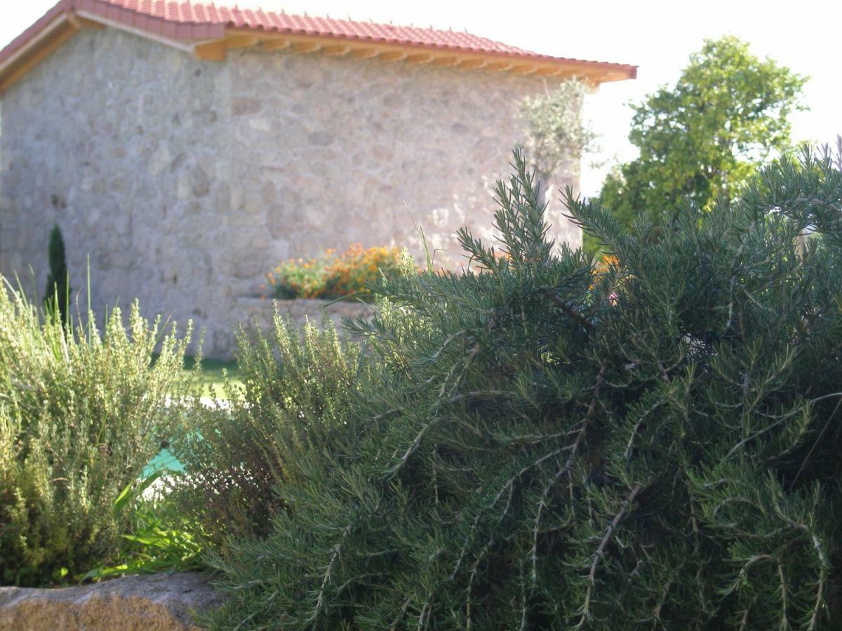 Eido Da Portela - Casa De Campo Carregadouro Екстер'єр фото